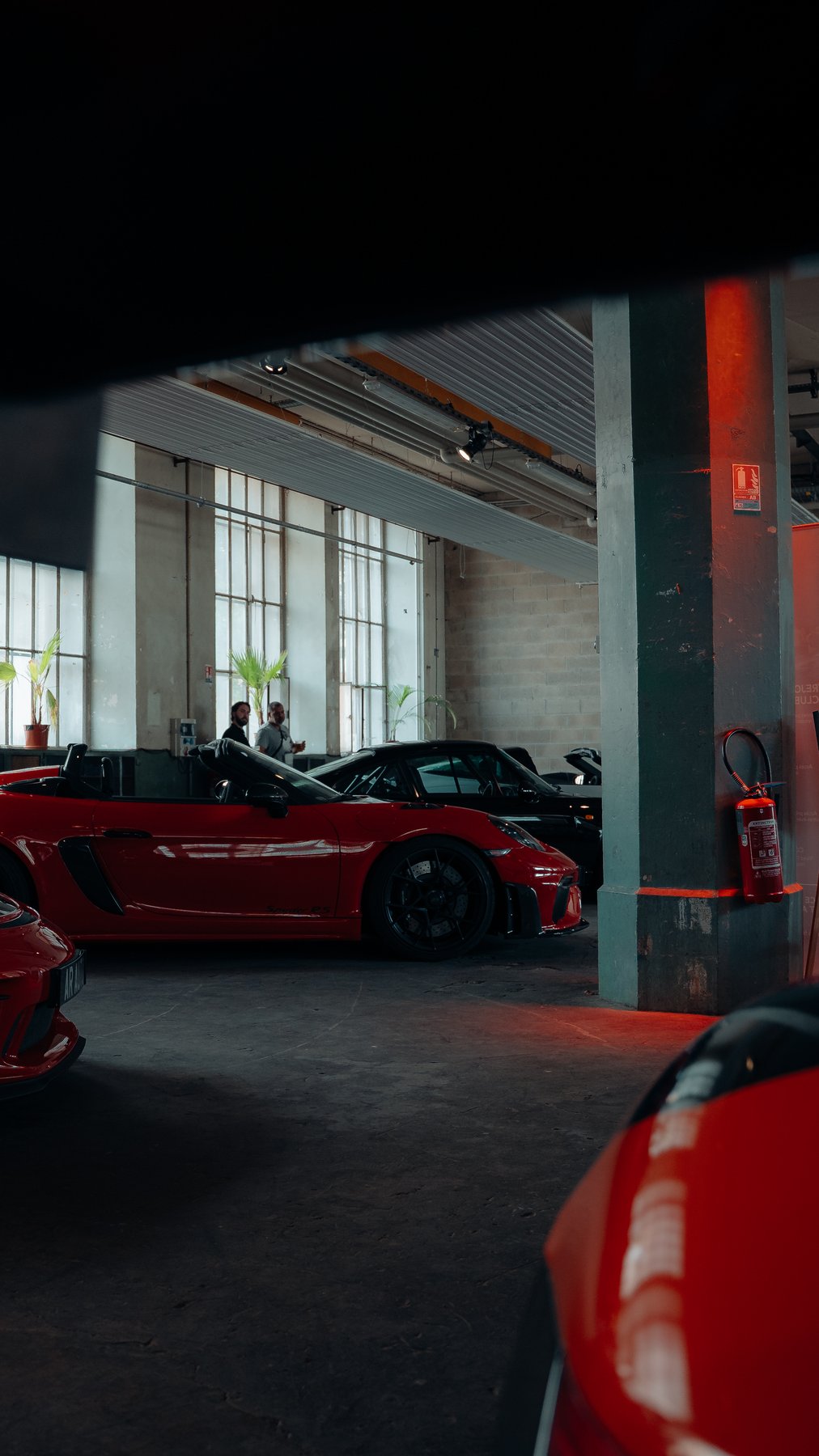Speedster RS