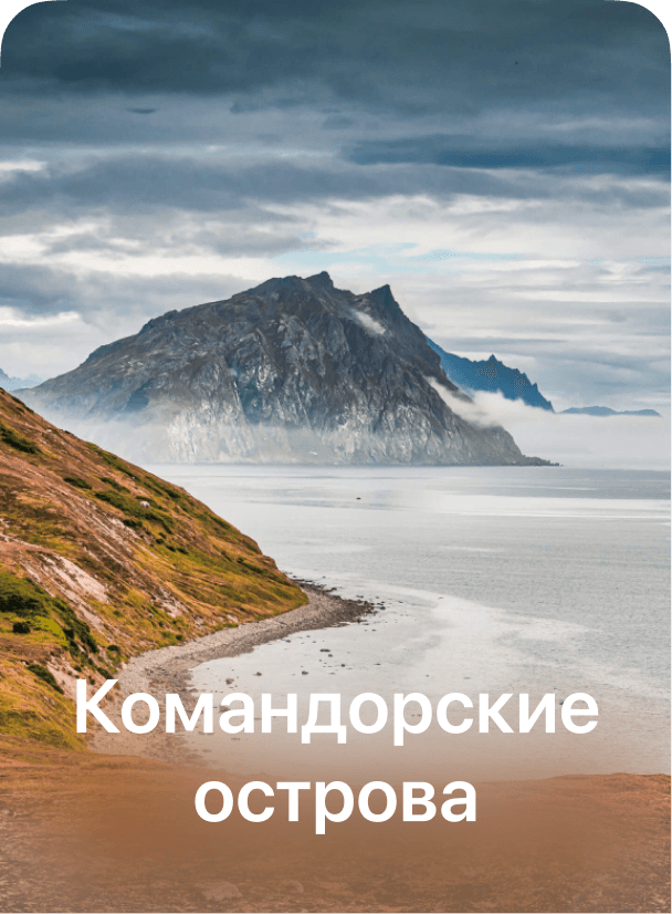 Карточка подборки с названием «Командорские острова»
