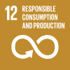 12 responsible consumption and production