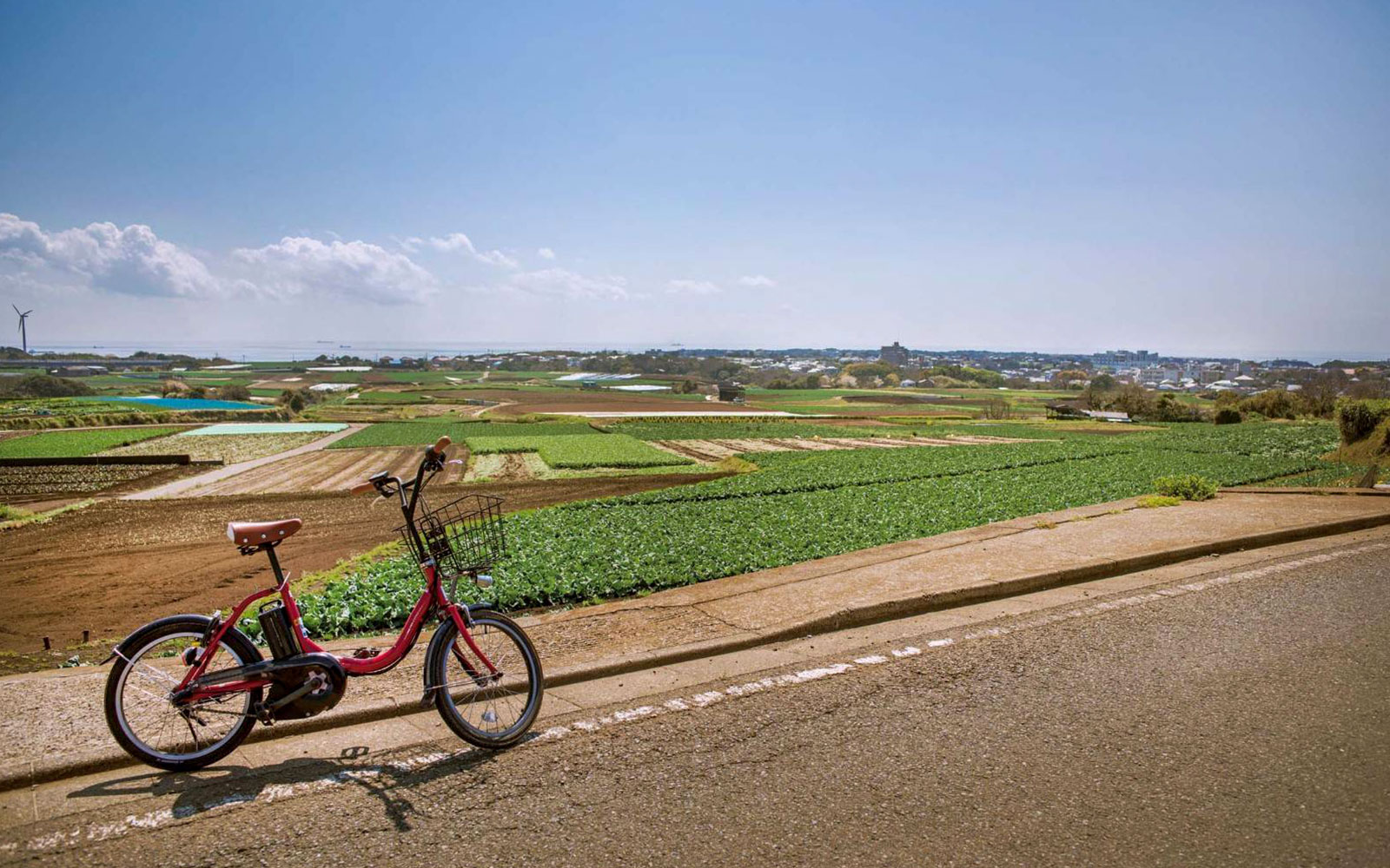 કેય્ક્યા લાઇન ટ્રેન ચમકદાર પરિદૃશ્યમાંથી પસાર થાય છે, ટોક્યોના દૈનિક પ્રવાસ માટે મિસાકી માગુરો તરફ.