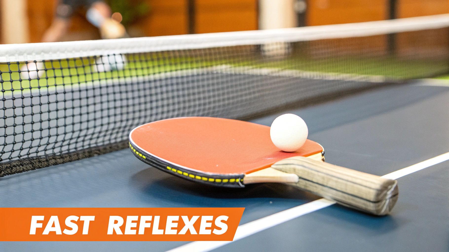 Table Tennis (Ping Pong)
