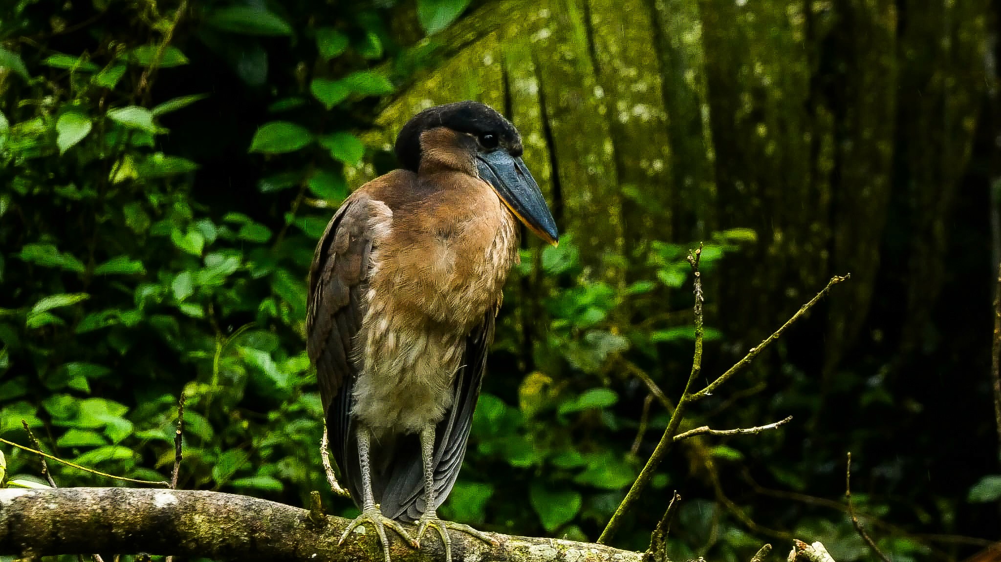 white and brown concrete building