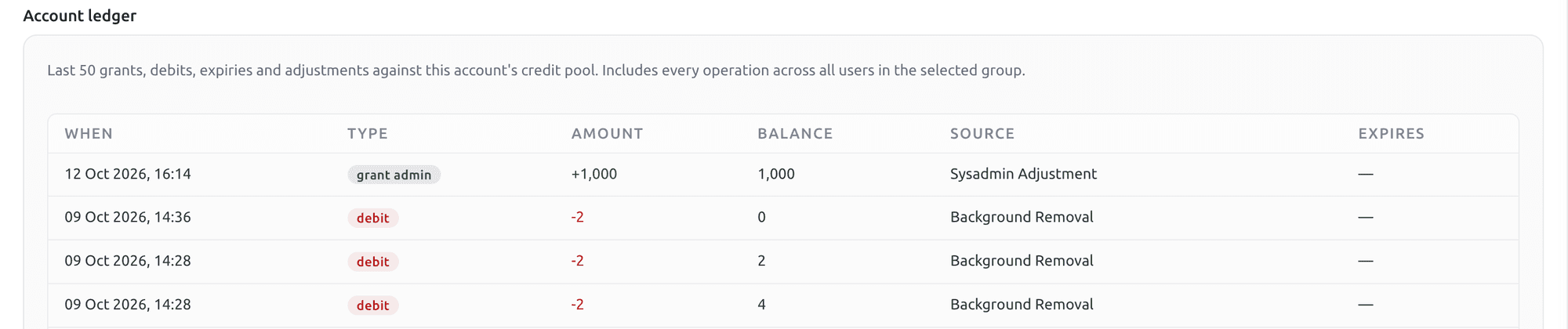FileSpin AI Usage account ledger listing credit grants and debits with amount, running balance and operation source