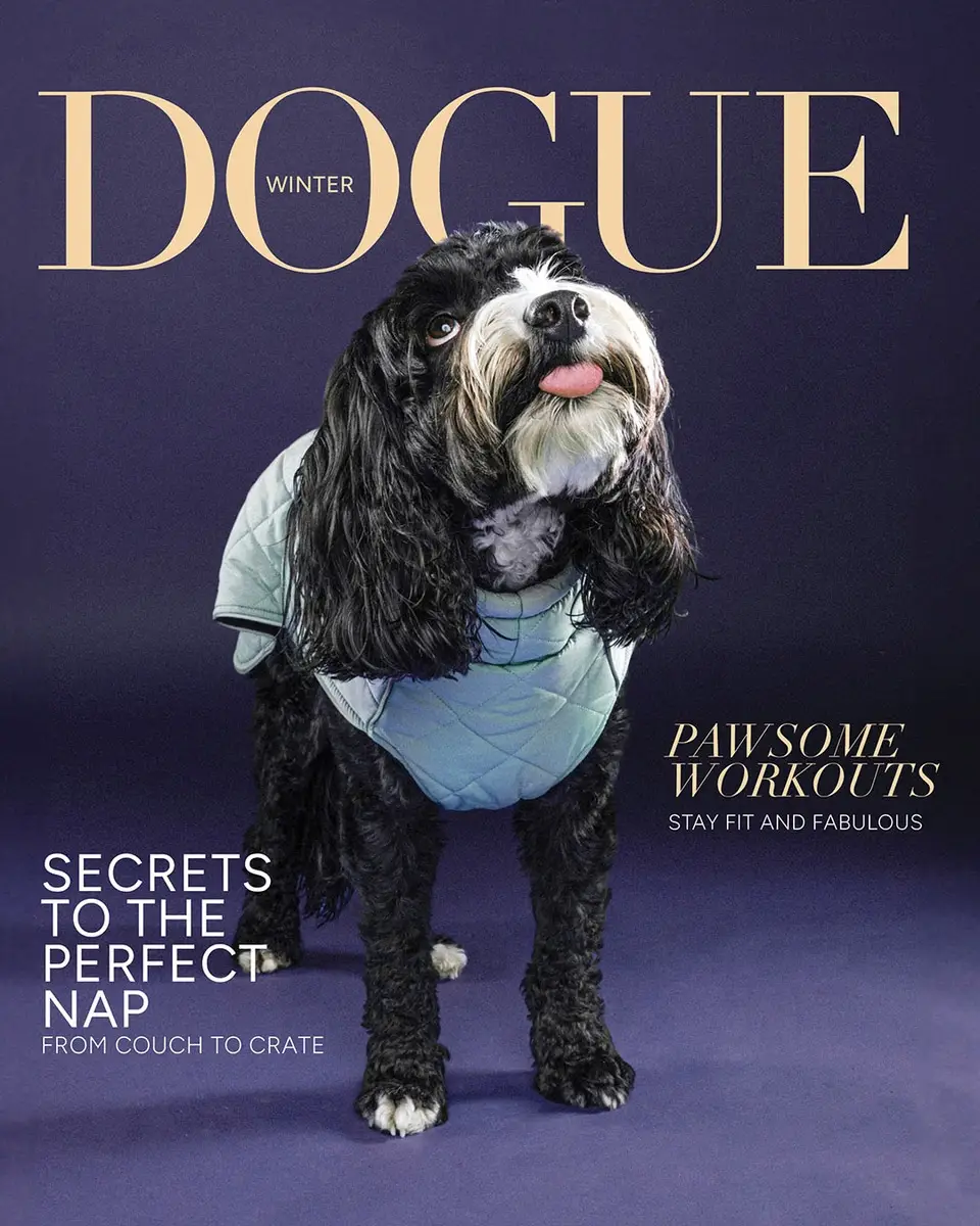 Vibrant Portrait of a man on dreads