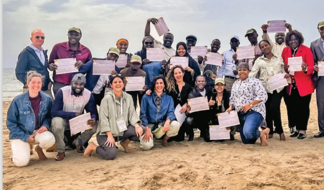 Close-up of a tree stump showing growth rings and a textured brown wood surface.