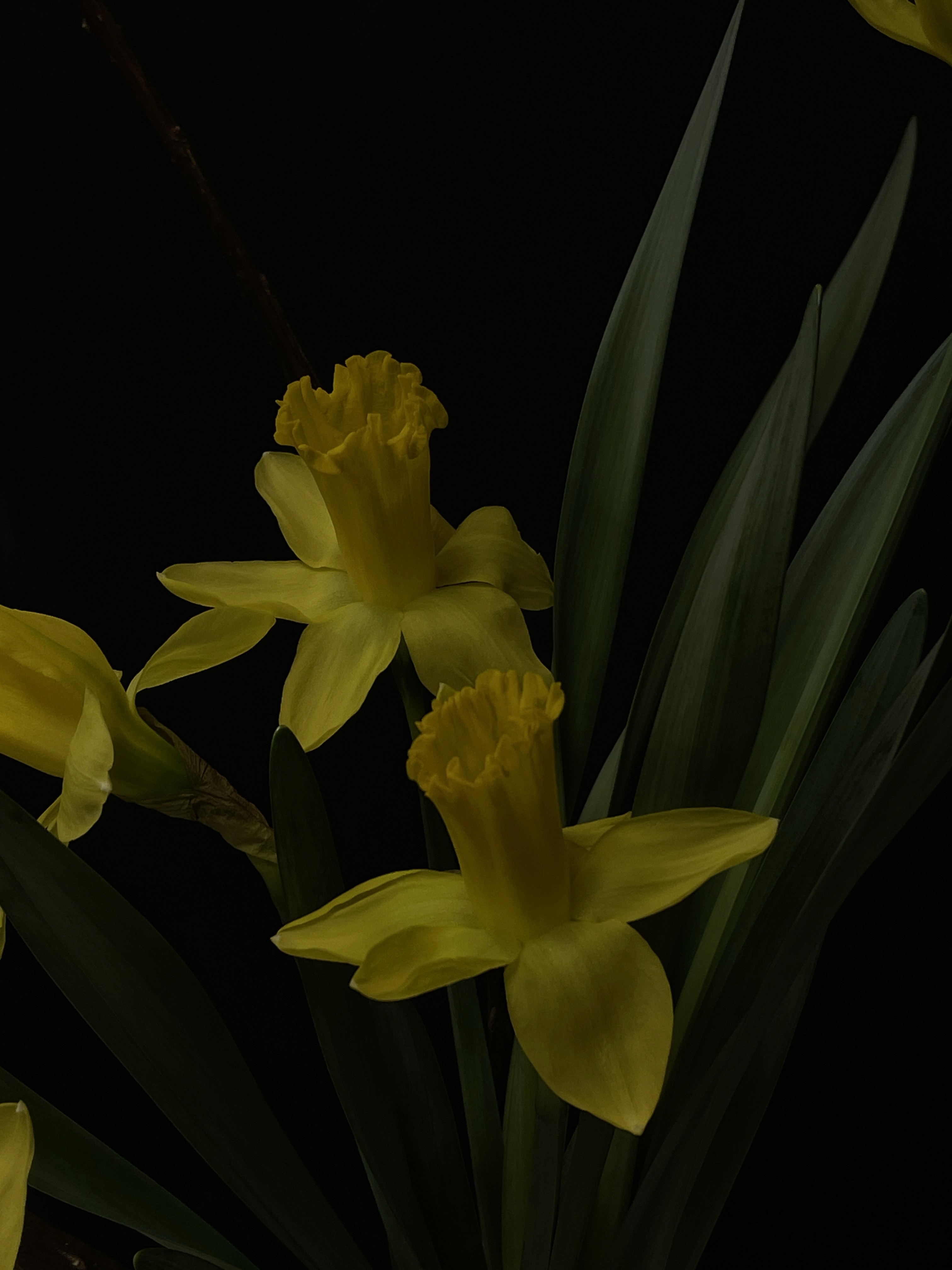 Close up of artisan tools