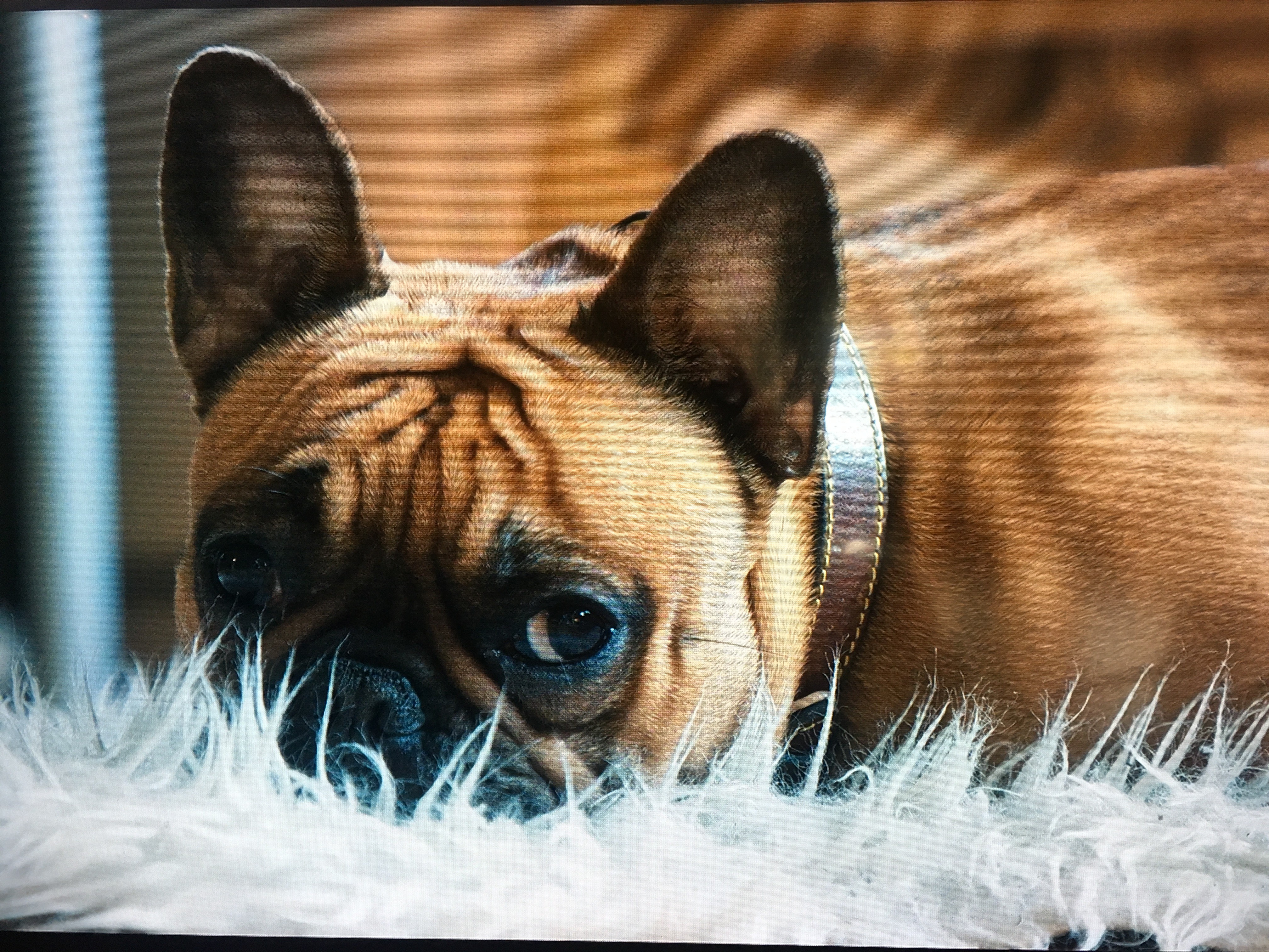 Three people in conversation with warm lighting, including a person wearing a hat and another person wrapped in what appears to be a textured shawl or sweater.