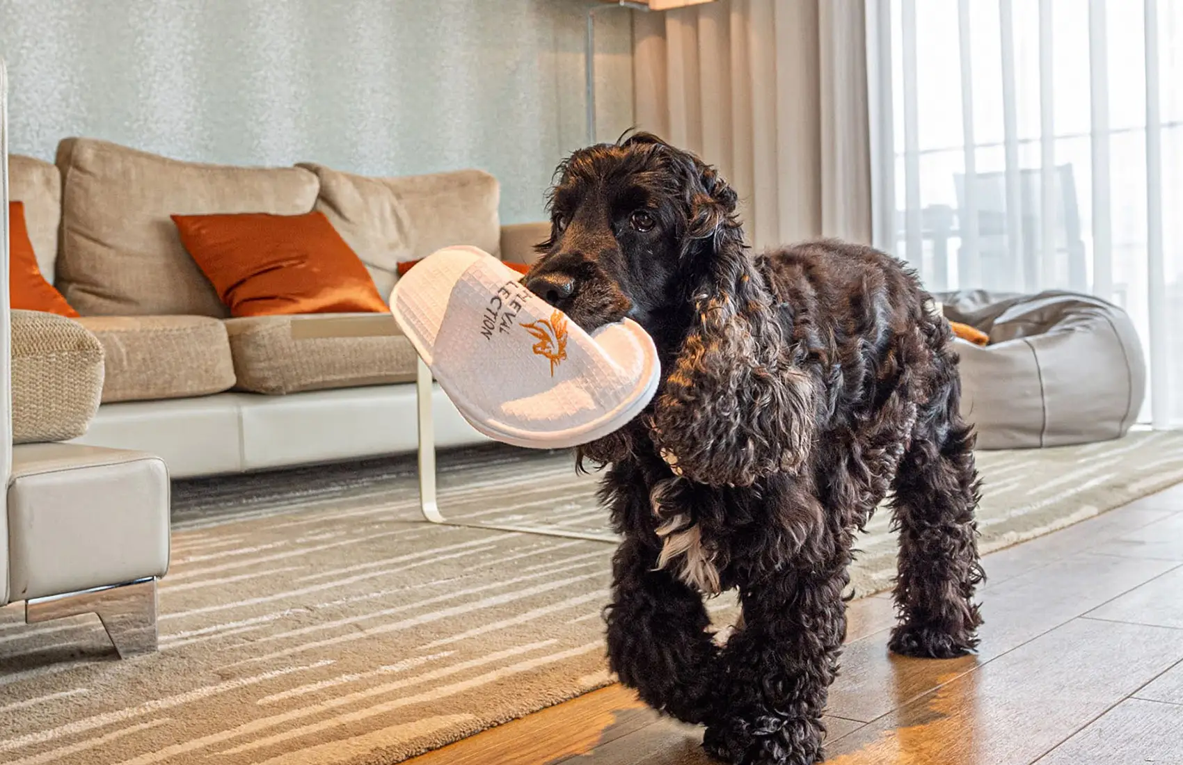 The outdoor terrace at Cheval Maison, a pet-friendly all-apartment hotel on Palm Jumeirah