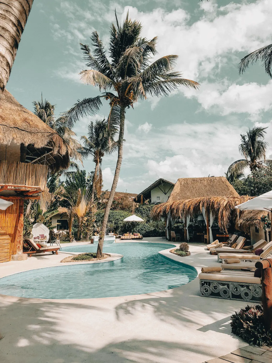 Dark theme house with plants outside