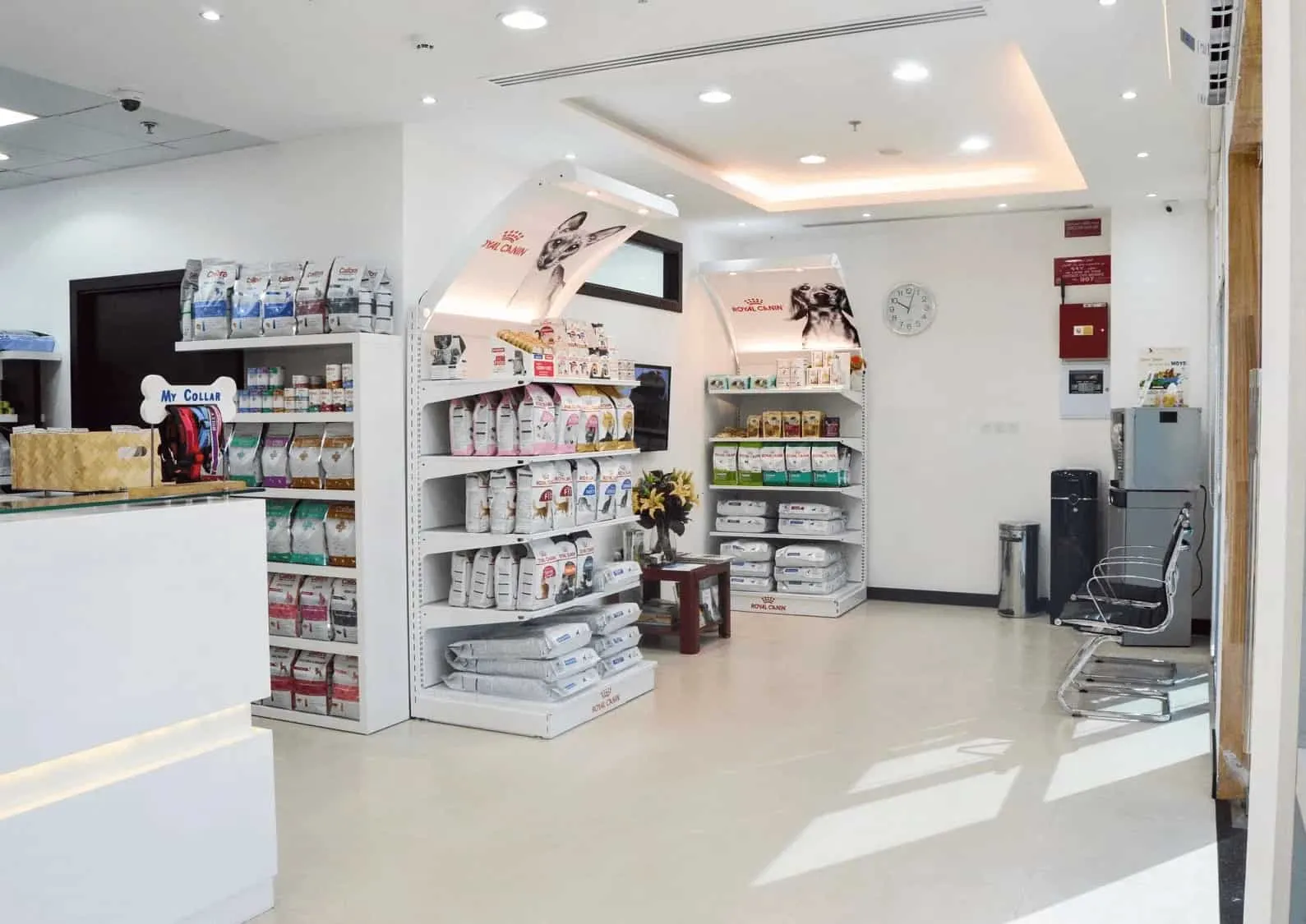 The interior view of our DIP vet clinic with a waiting area, shelves of pet food, and reception desk.