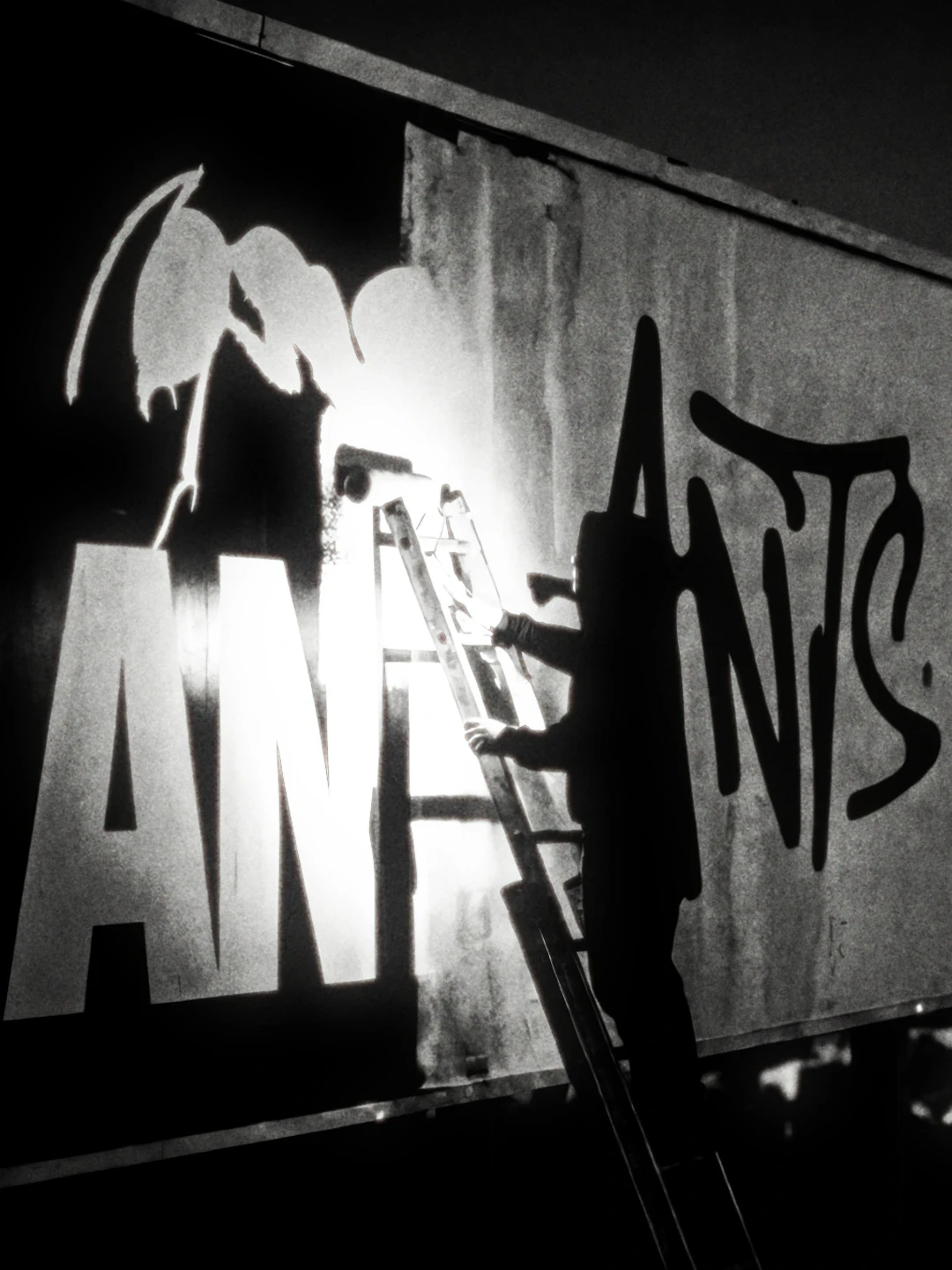 Still from ANTS new branding video campaign