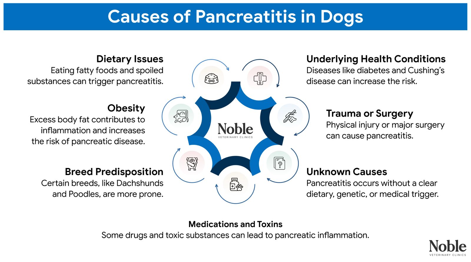 An infographic showing the causes of pancreatitis in dogs.