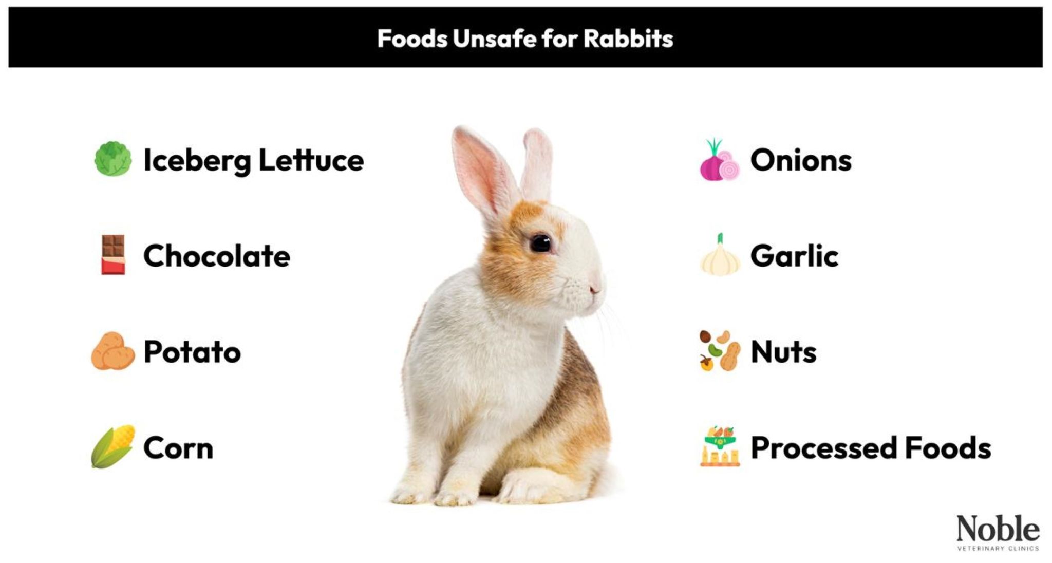 Foods Unsafe for Rabbits