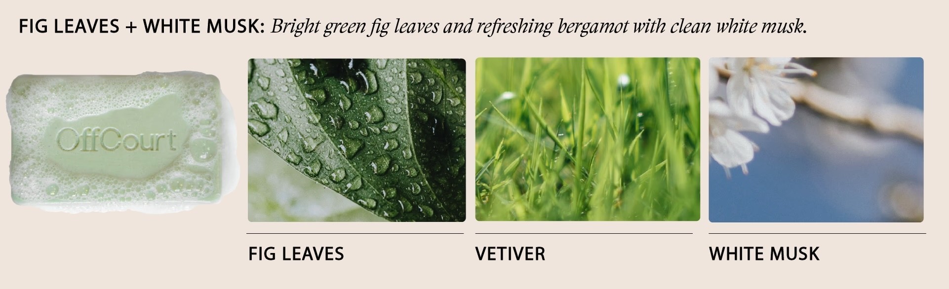 Offcourt Amazon A+ Graphic