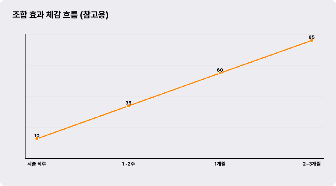 조합 효과 체감 흐름 (참고용)