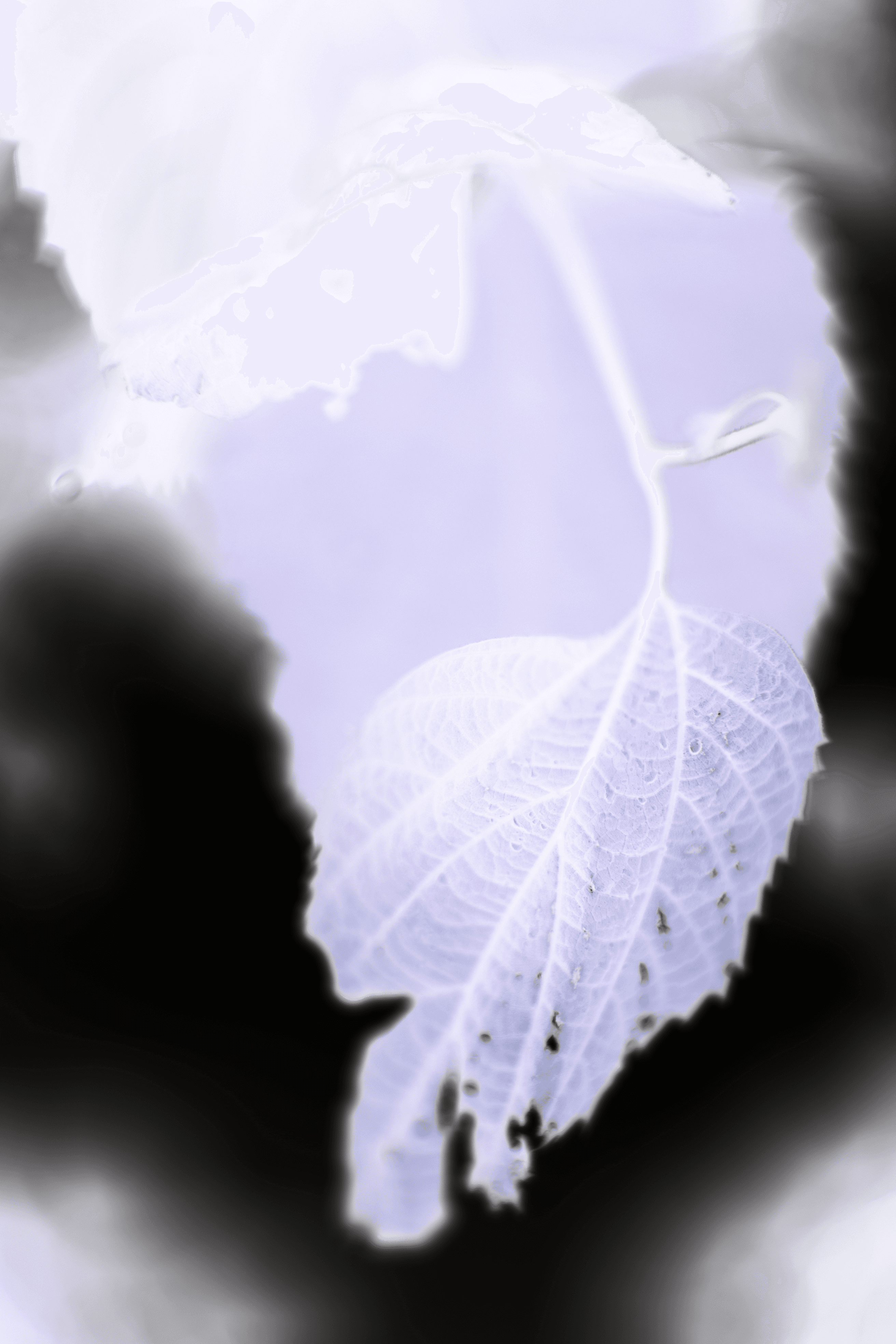 Luxury fashion editorial photography featuring model in vibrant patterned suit with orange accents, seated on vintage green armchair in elegant interior setting - Serif Creative Studio portfolio