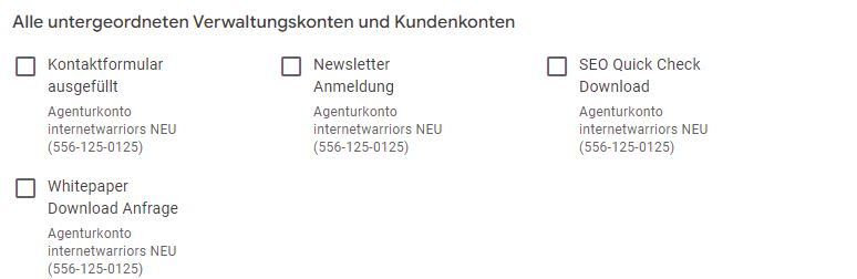 Screenshot aus Google Ads im Konto der internetwarriors: Übersicht der erstellten Conversions