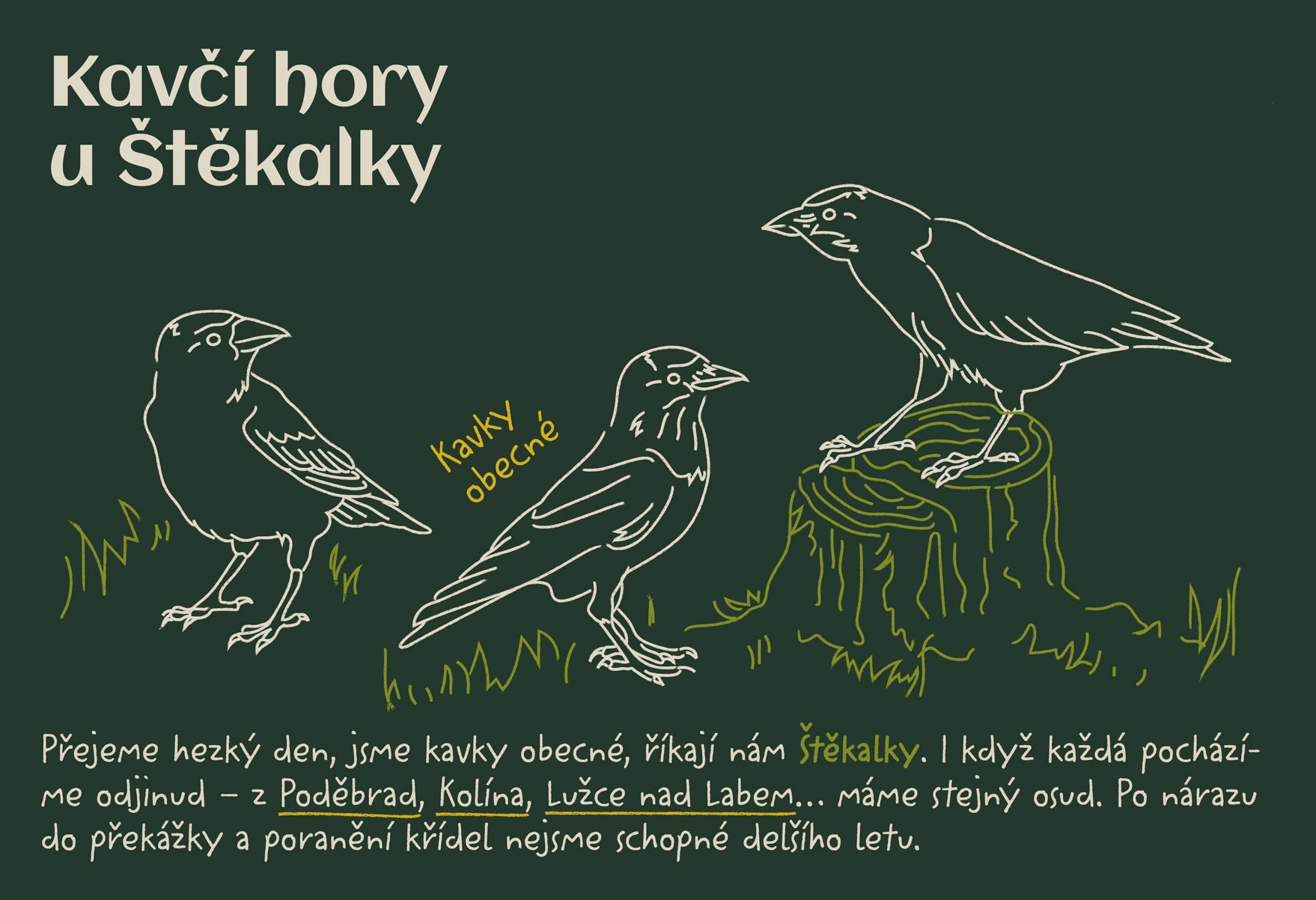 Wildlife illustrations from Huslík rescue station's visual identity, designed by SLOWRAT