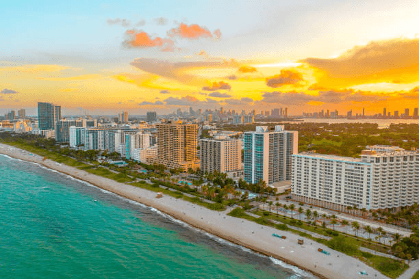 miami landscape