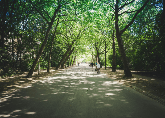 Explore Amsterdam's best parks and green spaces