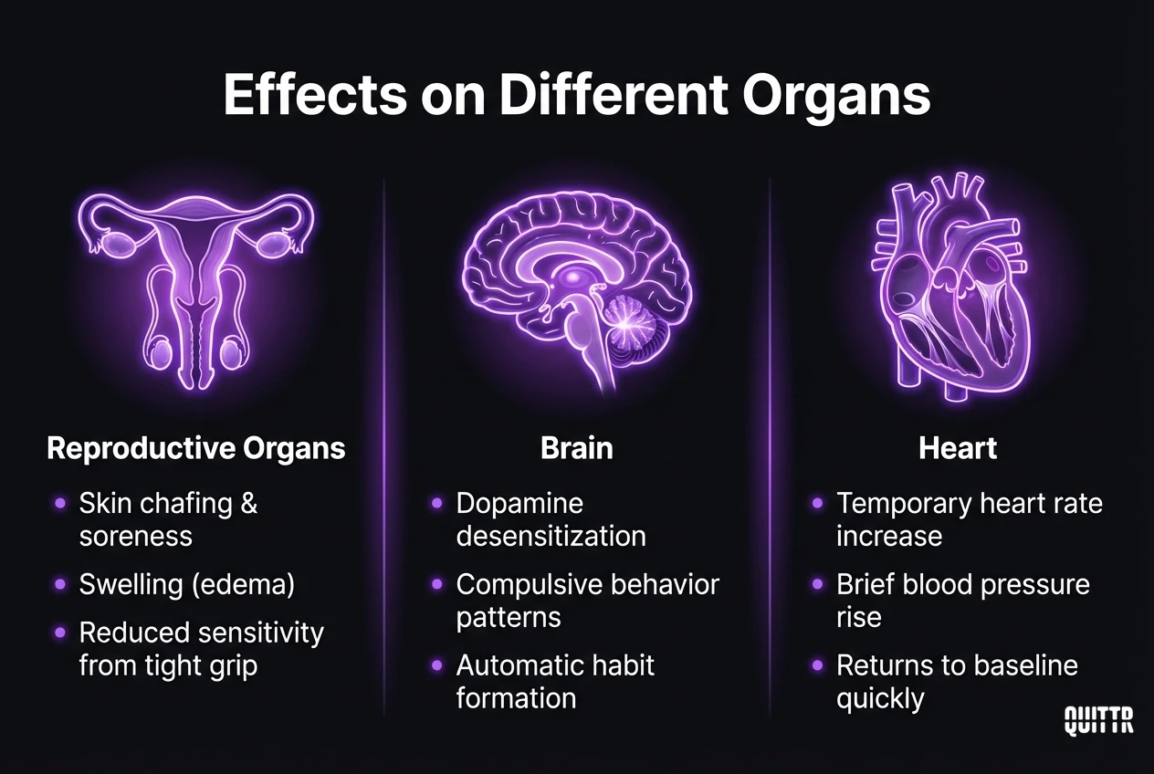 Diagram showing how excessive masturbation affects human organs: reproductive organs, brain, and heart, with specific effects for each