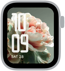 orchard static Apple Watch face preview 5 featuring floral, summer, and spring.
