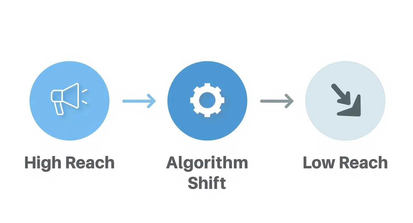 Diagram showing a high reach with a megaphone, leading to an algorithm shift, resulting in low reach.