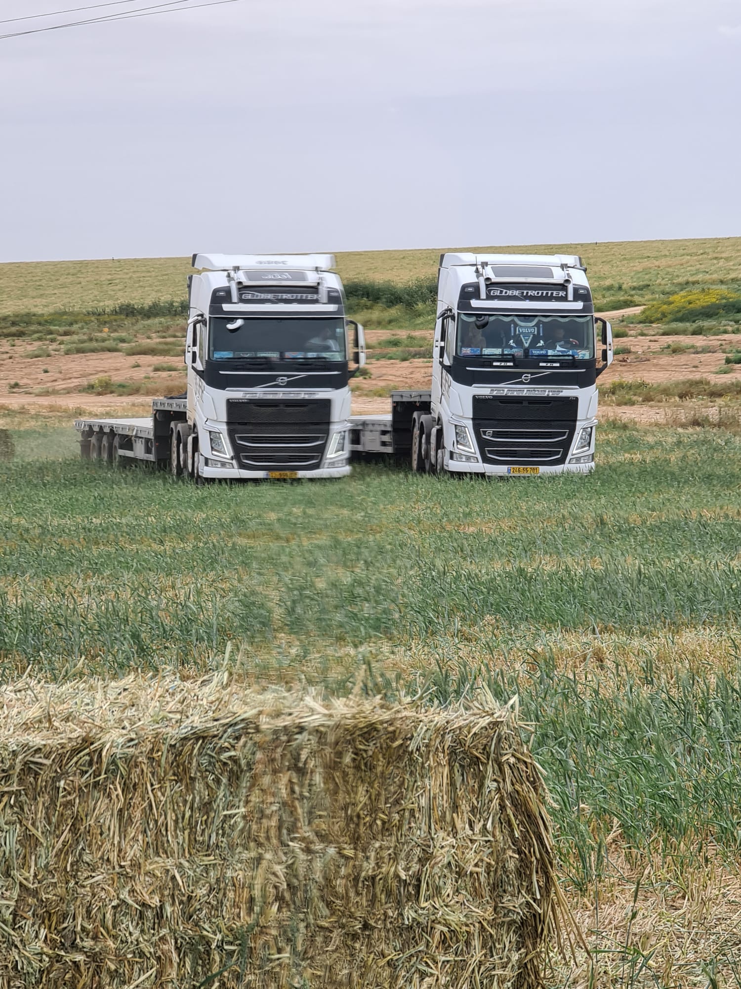 A serene outdoor seating area with two chairs, surrounded by lush greenery and a glassed-in structure.