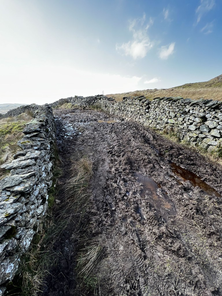 An extremely muddle single-track path with stone walls either side.