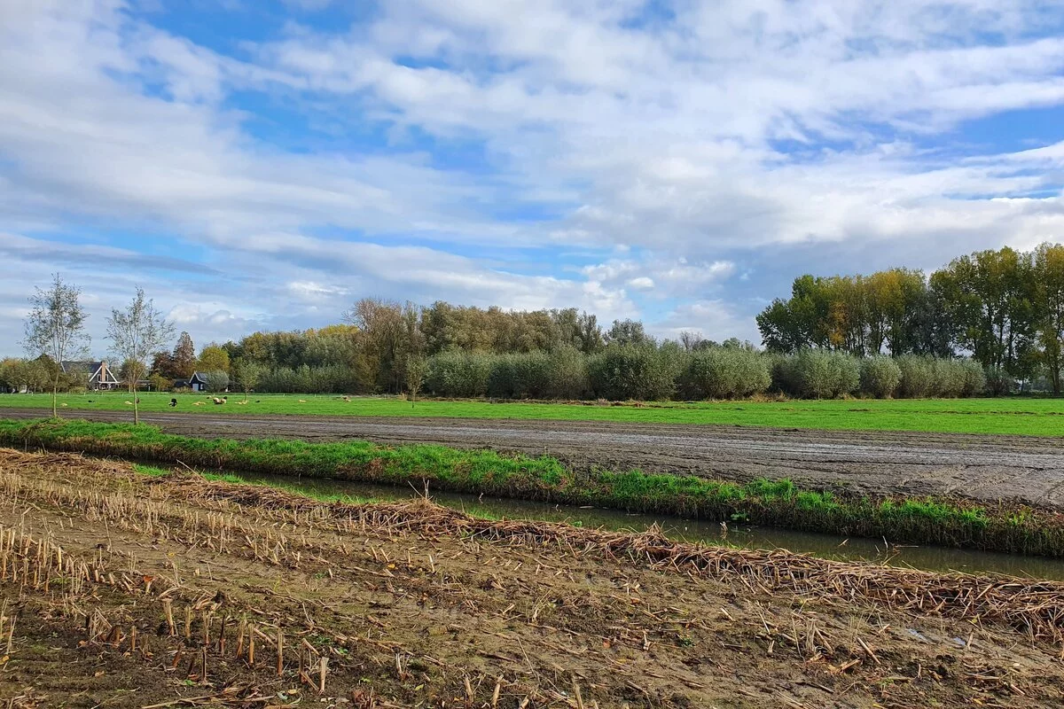 Natuurontwikkeling