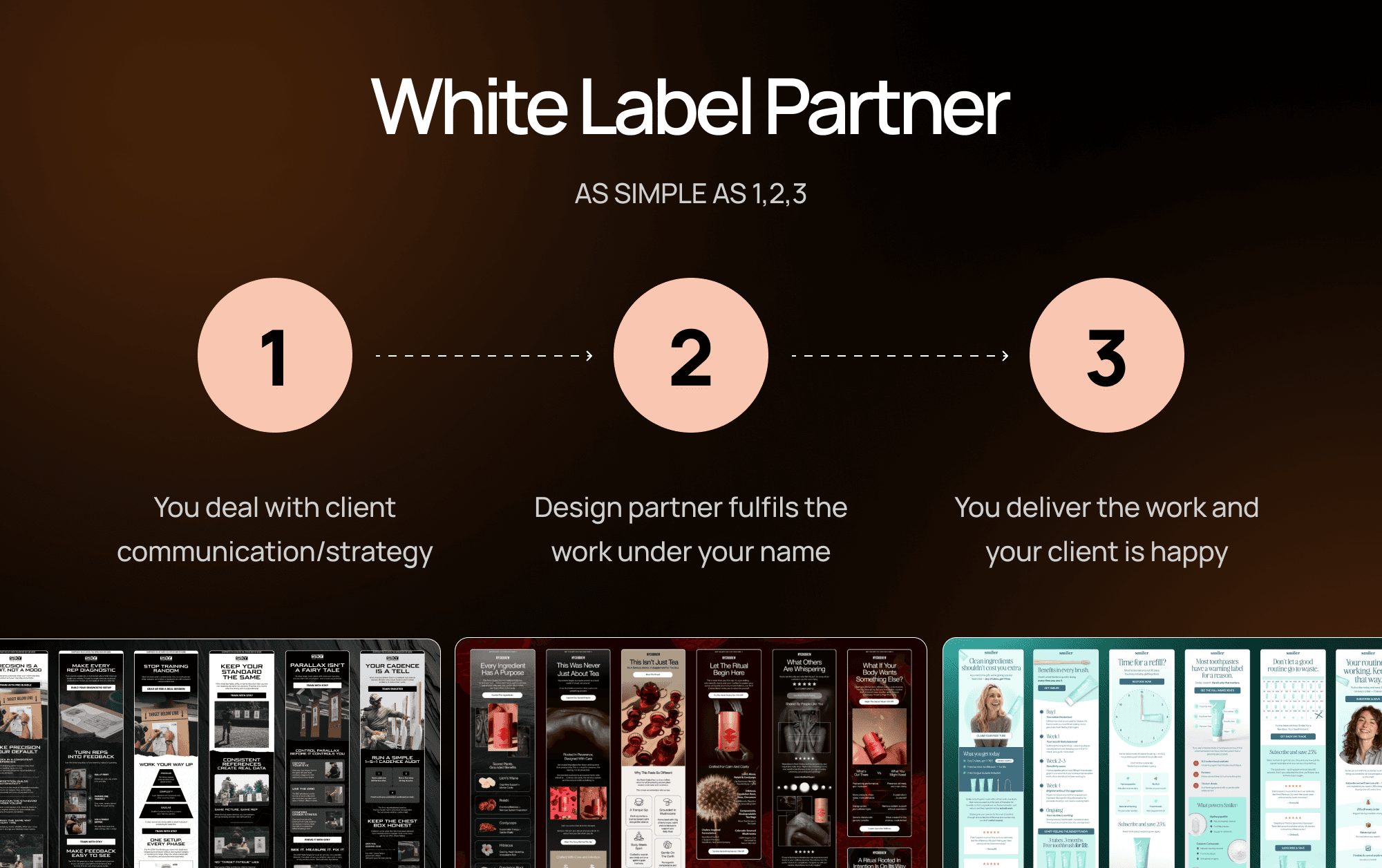 white label email design for ecom agencies complete guide