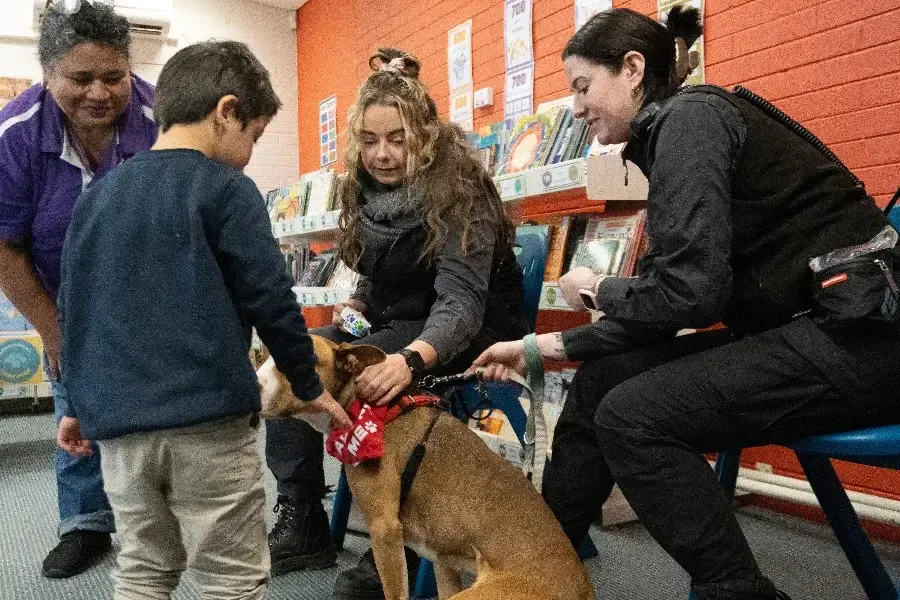 A child meeting a friendly Dog.