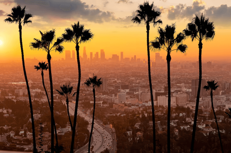 los angeles landscape