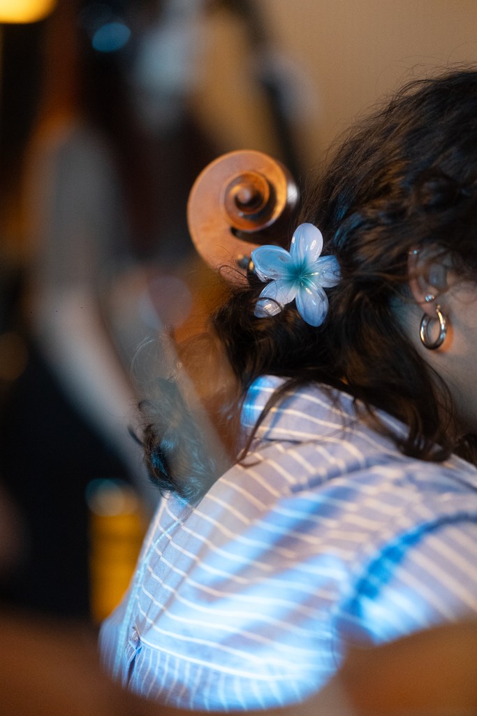 2 wooden green chair