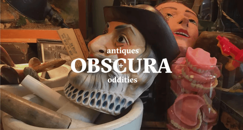 A website template showcasing a whimsical design featuring plants, animals, and female figures dressed in vintage clothing. The text prominently displays the words "antiques OBSCURA oddities."