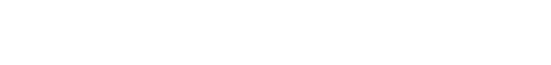 flow agency logo