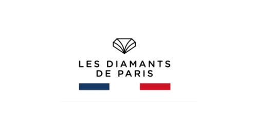 Logo client : Les Diamants de Paris