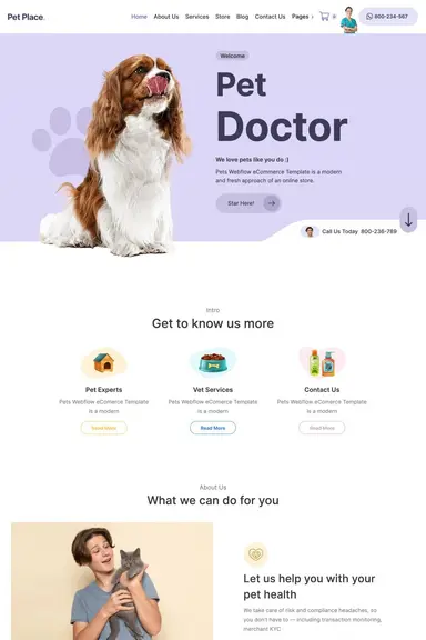 Vet Website Design