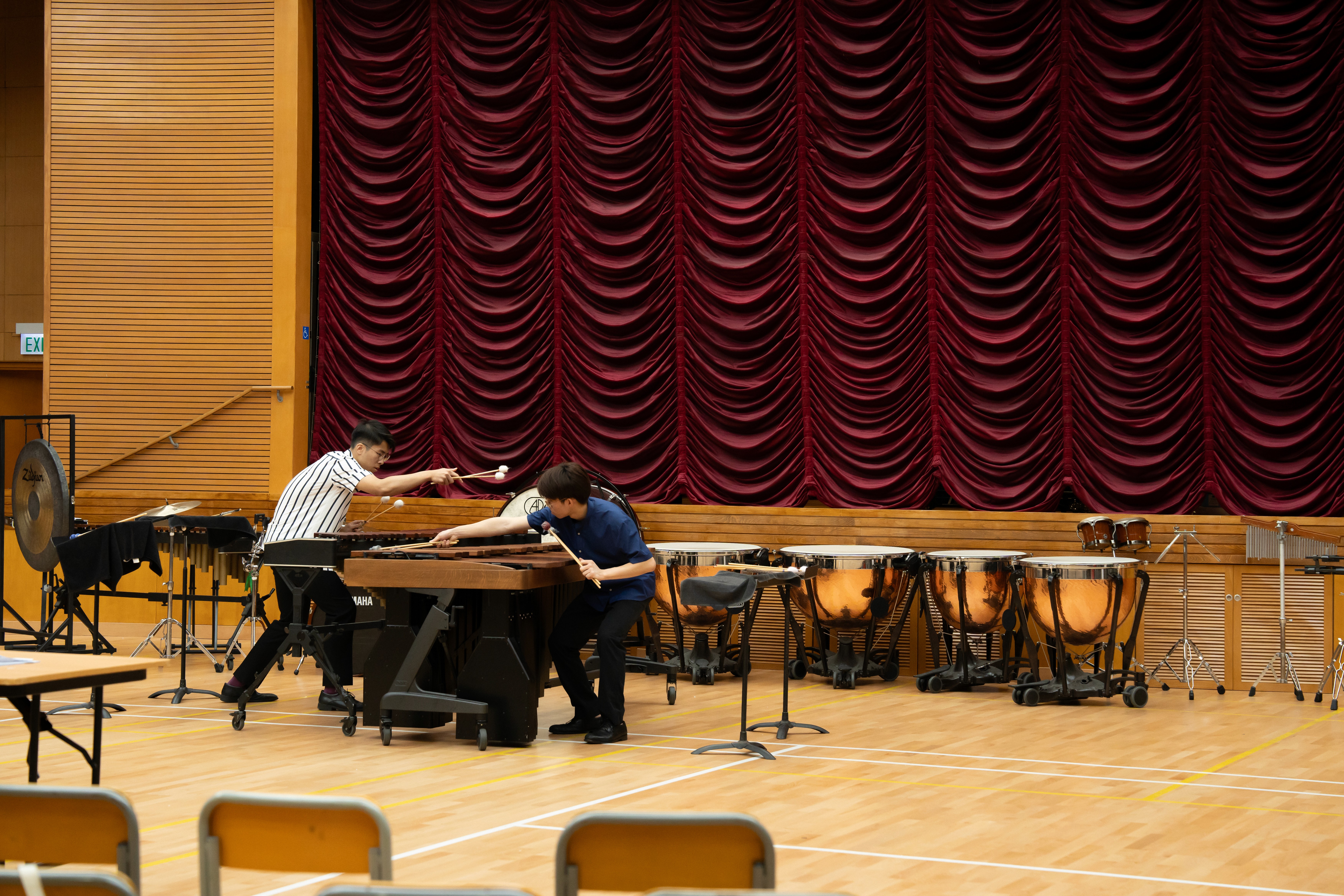 wind breeze, tree move