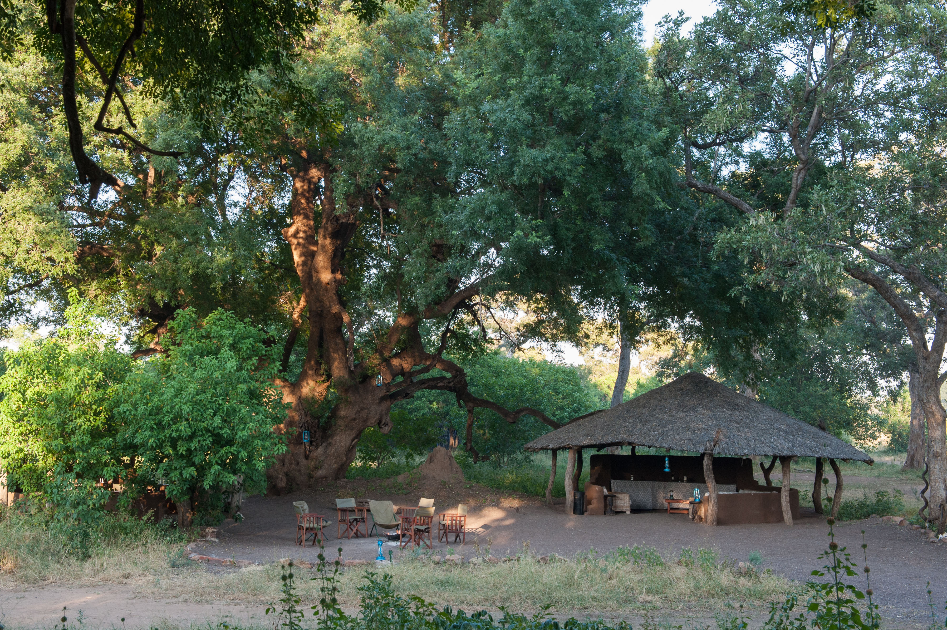 African Explorer, Botswana. Den gemensamma ytan vid Two Mashatus Camp ligger inbäddad bland träden och bjuder på bushens ljud och dofter – en perfekt plats för middag efter dagens ritt.
