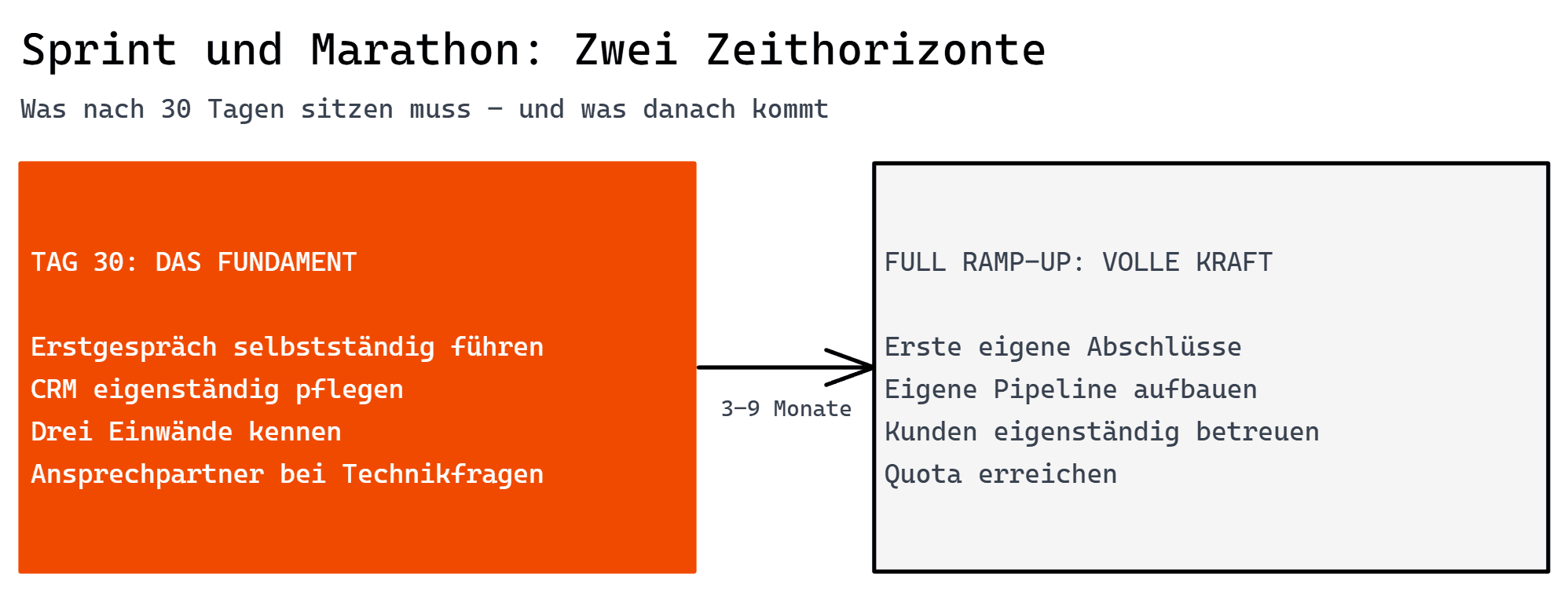 Schaubild: Ziele nach 30 Tagen und nach 3-9 Monaten