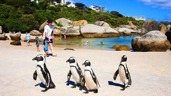 Cape Point