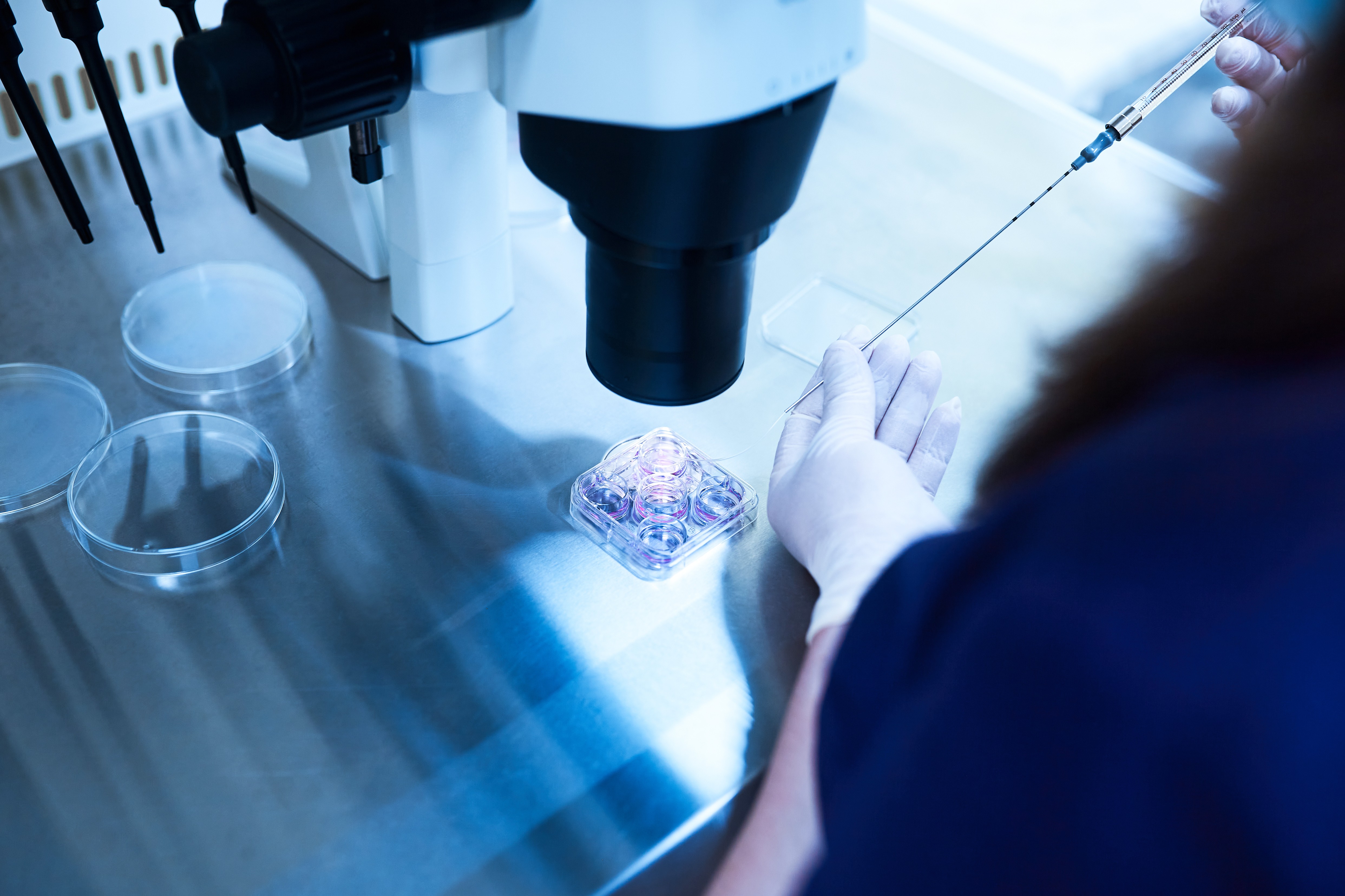 Scientist wearing white gloves pipetting a solution into a lab dish under a microscope.