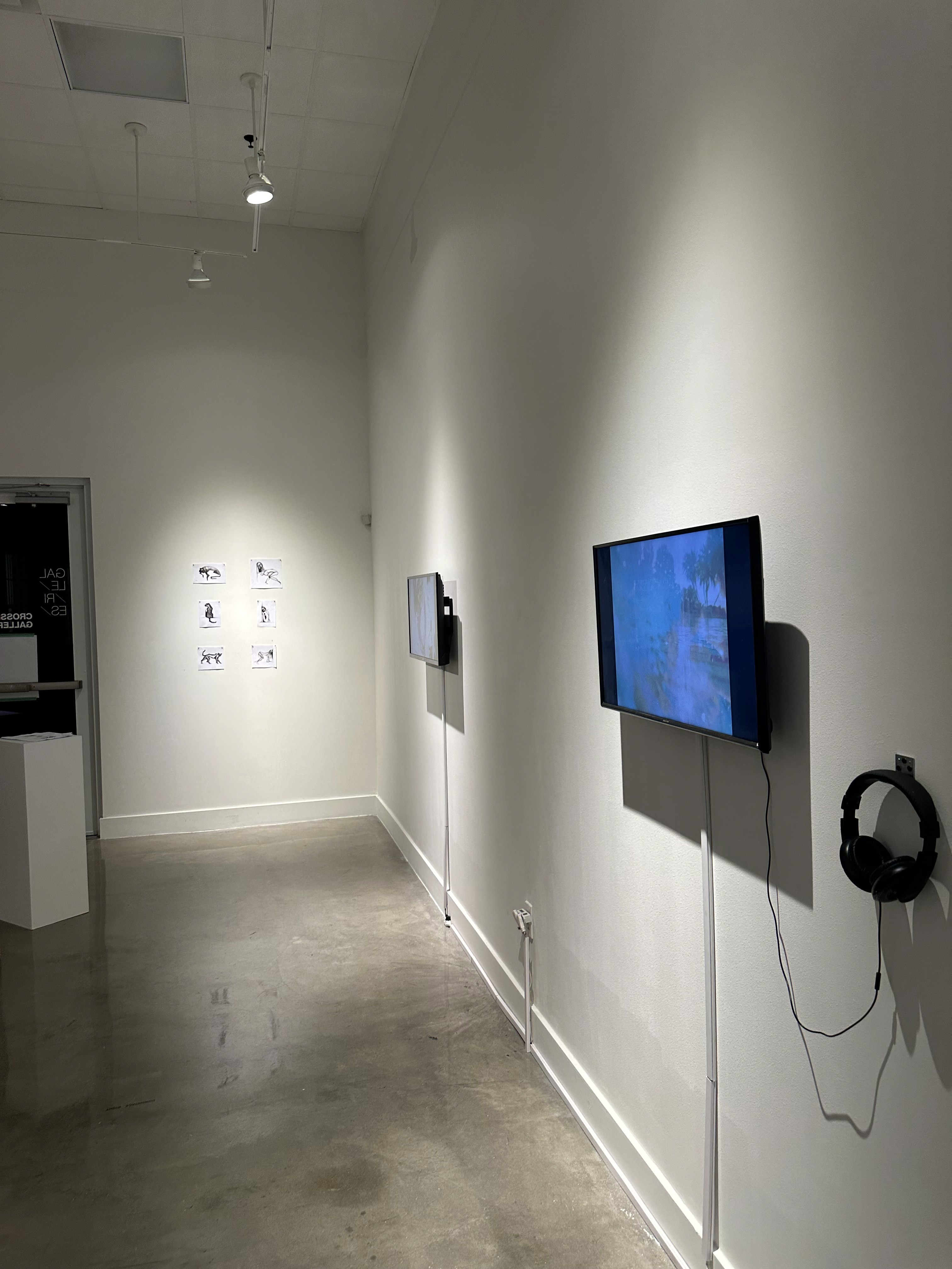 Curation image