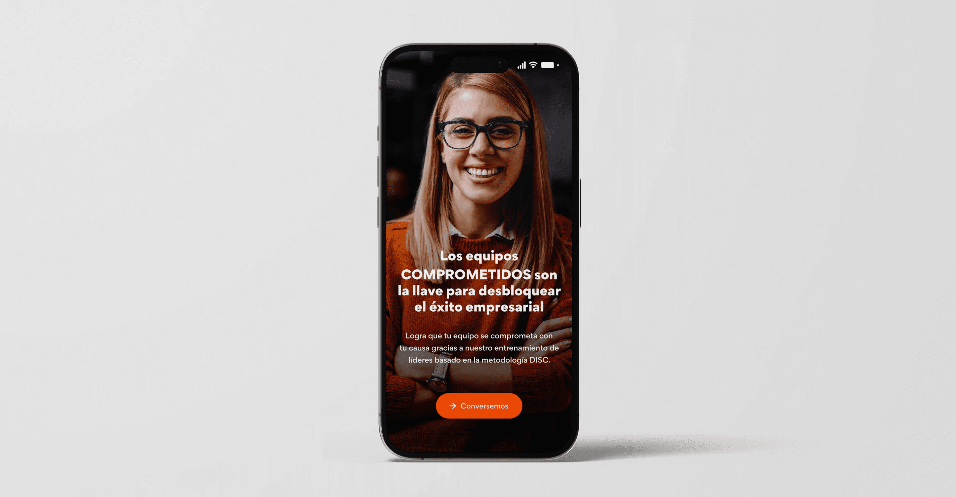 Project Gallery Image for 50% width of the screen #1
