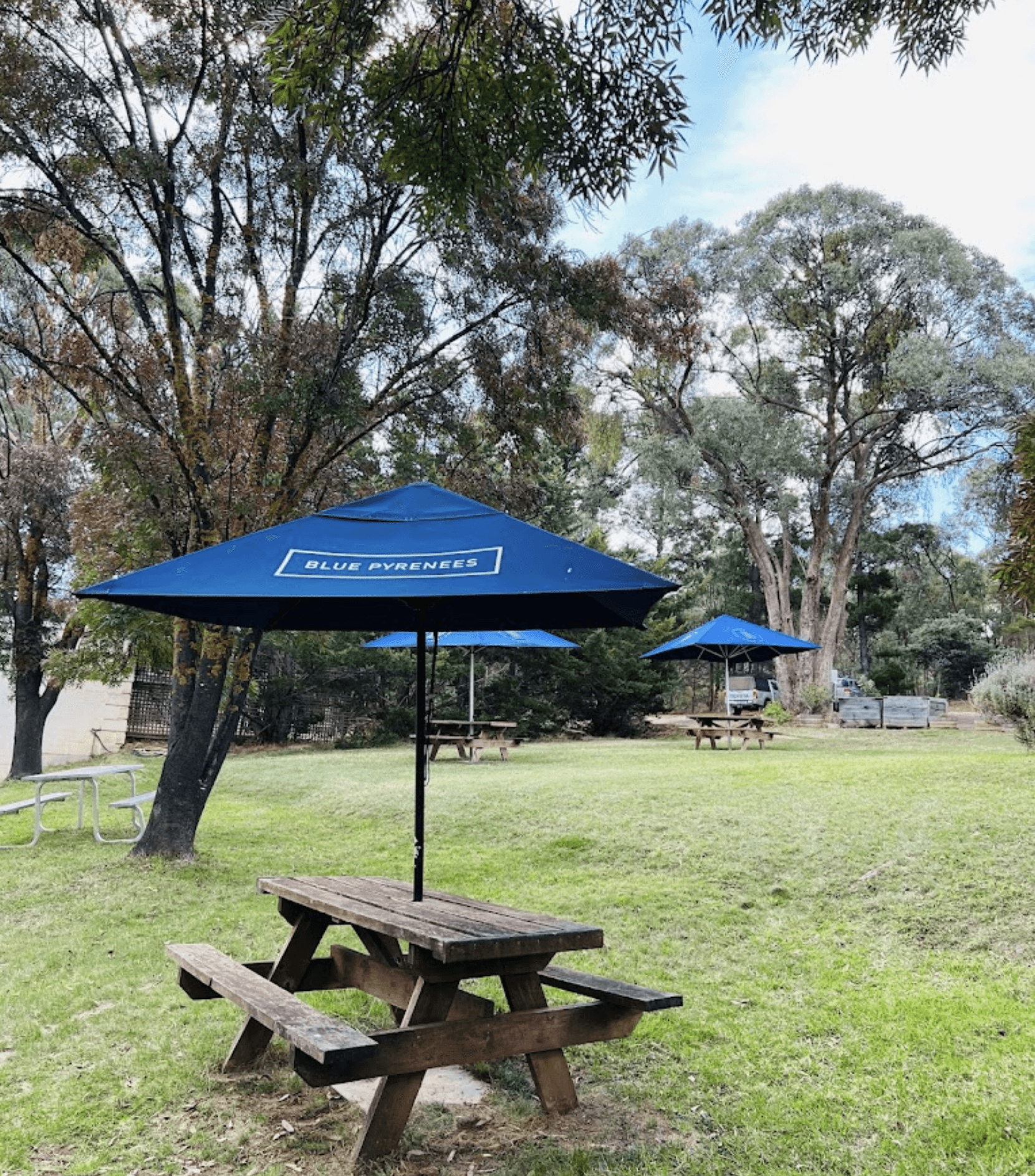 Blue Pyrenees Estate winery