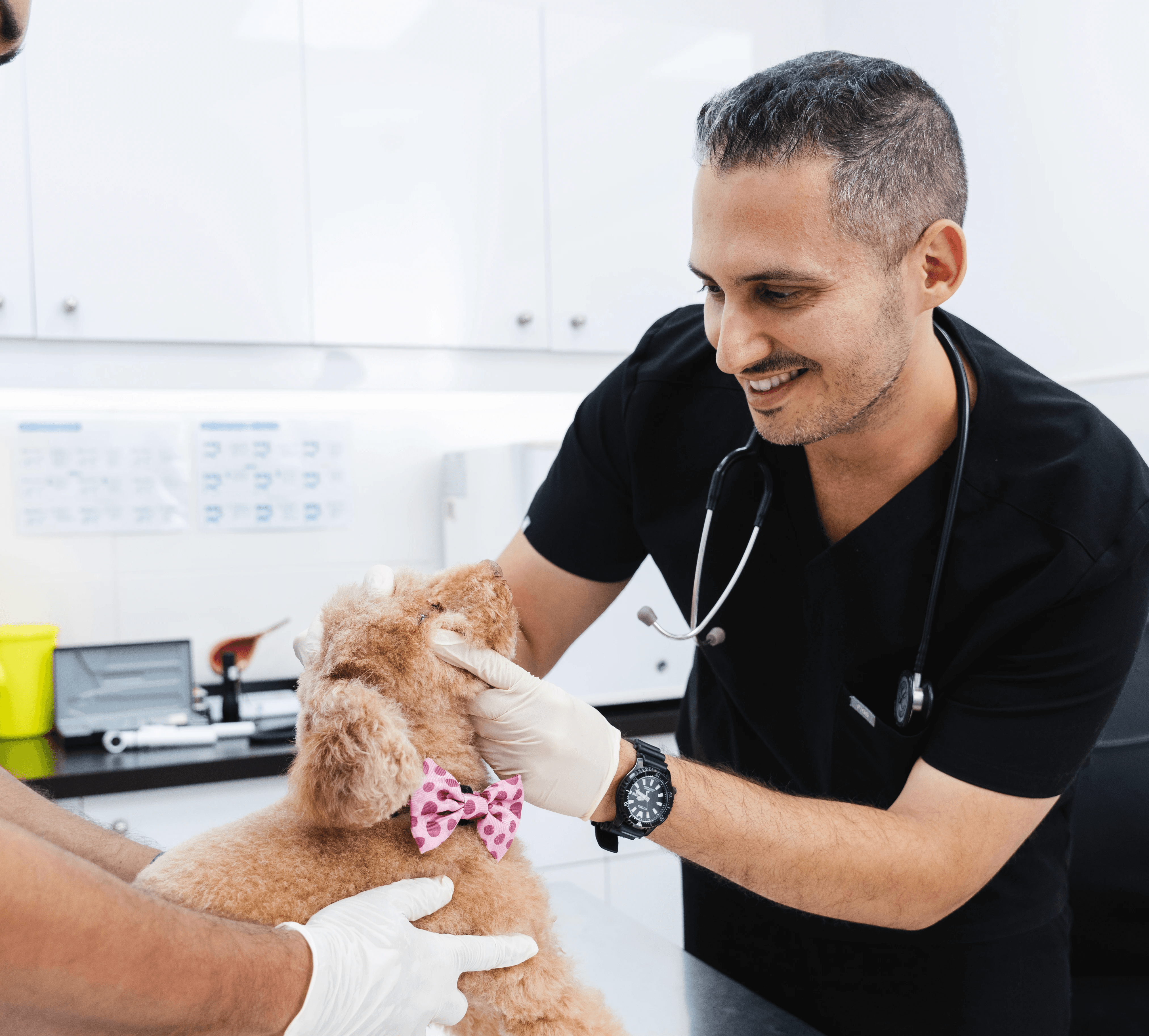Our compassionate veterinarian happily says goodbye after treating a dog successfully in our vet clinic