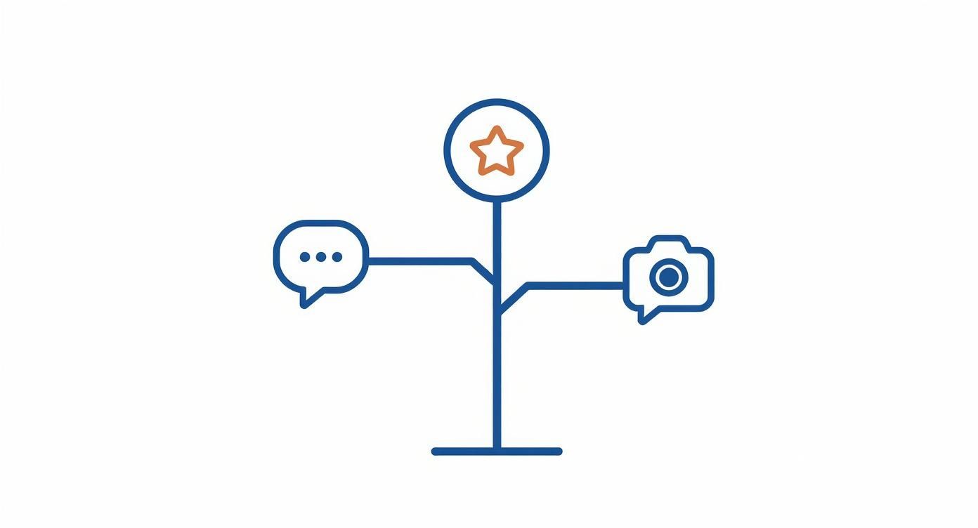 Infographic about how to respond to comments