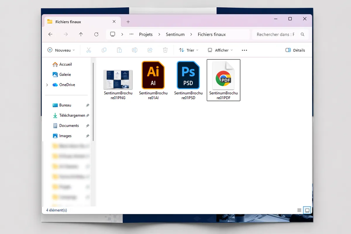 Dossier de fichiers finaux d’un projet graphique avec versions AI, PSD, JPG et autres fichiers de production