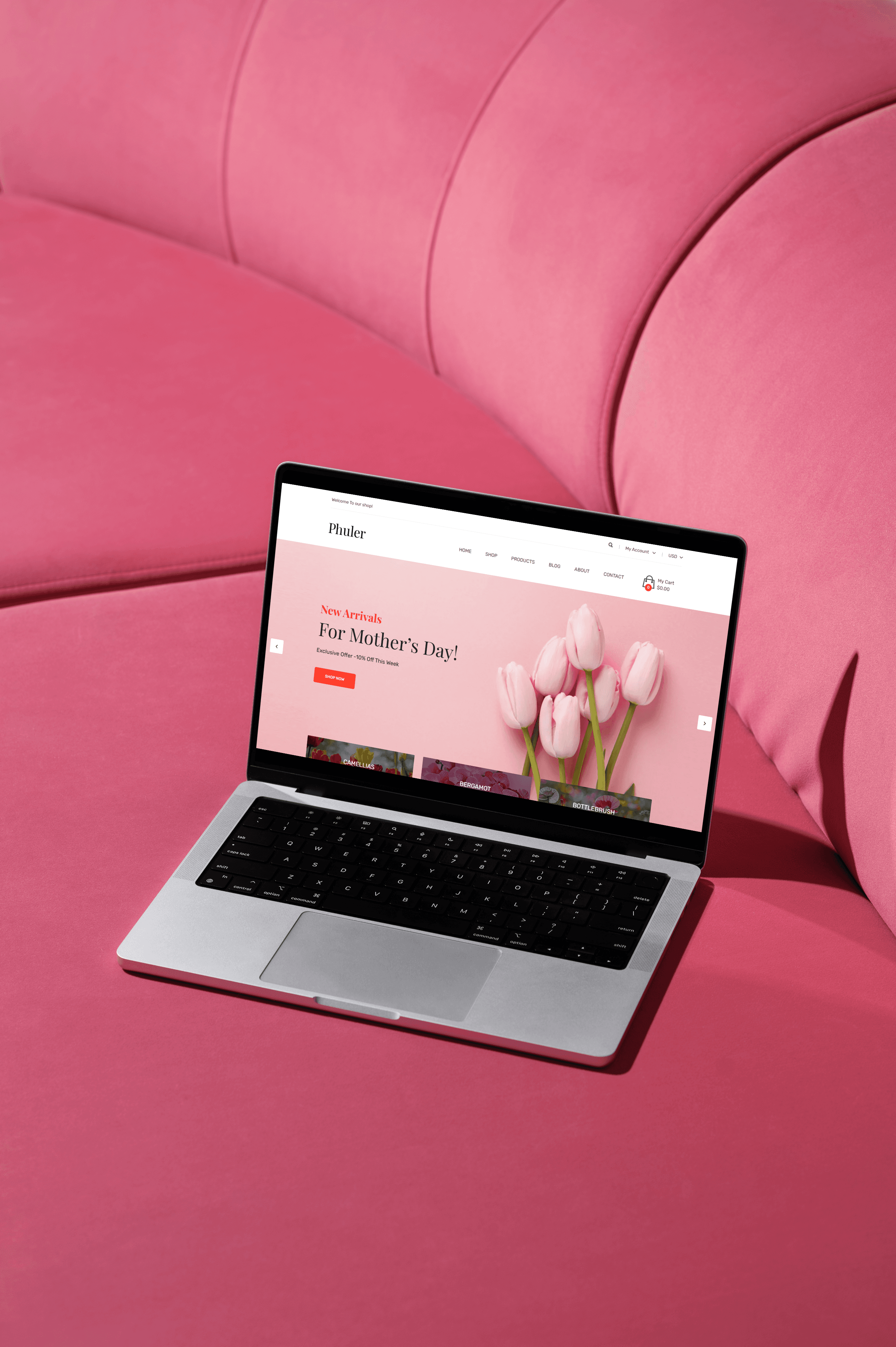 Payble Website Thumbnail